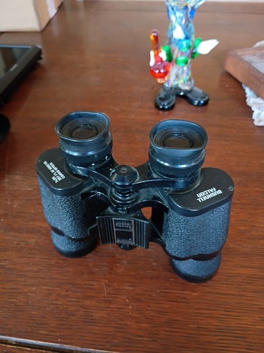 Bushnell falcon insta - falcon, focus